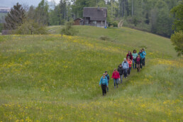 Sport, Stein, Wandern