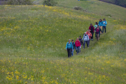 Sport, Stein, Wandern