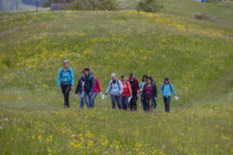 Sport, Stein, Wandern