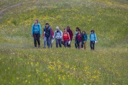 Sport, Stein, Wandern