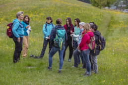Sport, Stein, Wandern