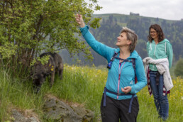 Sport, Stein, Wandern