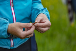 Sport, Stein, Wandern