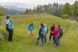 Sport, Stein, Wandern