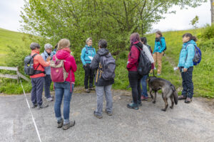 Sport, Stein, Wandern