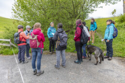 Sport, Stein, Wandern