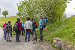 Sport, Stein, Wandern