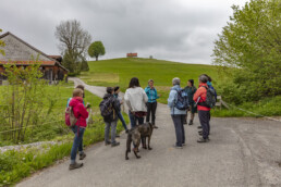 Sport, Stein, Wandern