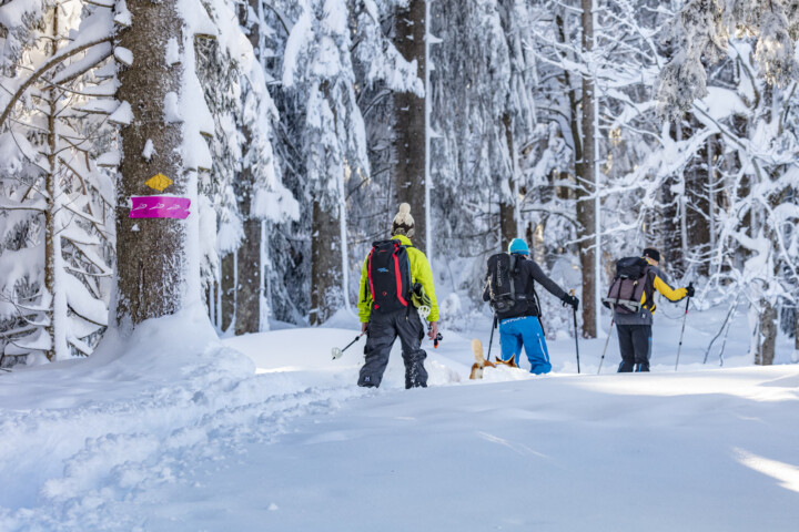 Appenzell, Appenzell Ausserrohden, Jahreszeiten, Ostschweiz, Schnee, Schweiz, Suisse, Switzerland, Urnäsch, Wetter, Winter