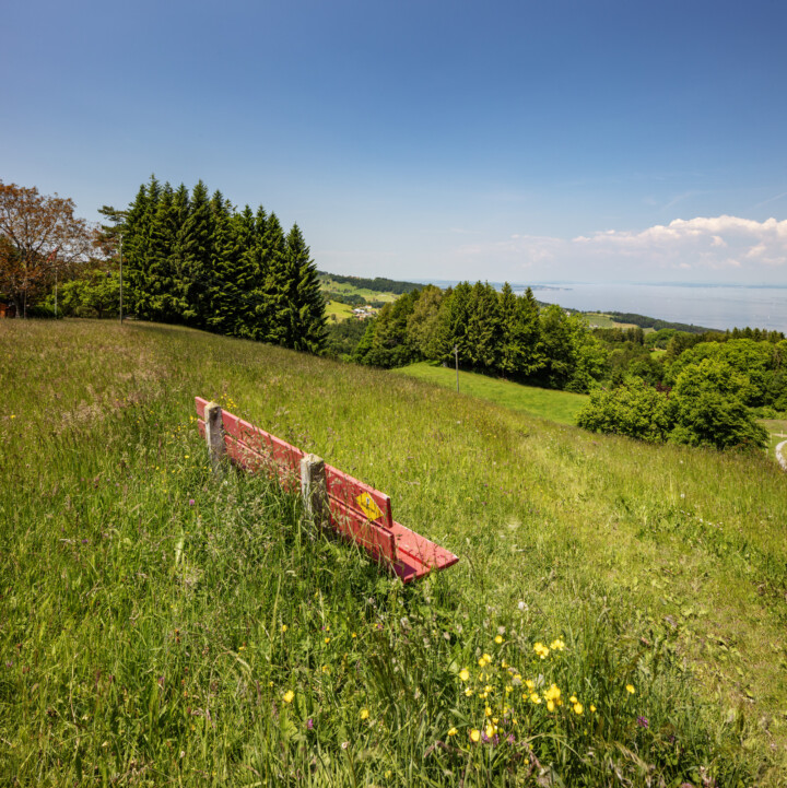 Appenzell, Appenzell Ausserrohden, Appenzeller Vorderland, Aussicht, Aussichtsbank, Bank, Blumenwiese, Bodensee, Ostschweiz, Schweiz, See, Sonnenschein, Suisse, Switzerland, Verkehr, Wanderweg, Weg, Wiese, Wolfhalden