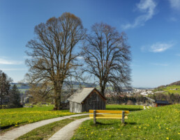 Appenzell, Appenzell Ausserrohden, Aussicht, Aussichtsbank, Bank, Baum, Bäume, Frühling, Schweiz, Sonnenschein, Spring, Stein, Suisse, Switzerland, Tree, Trees, Verkehr, Wald, Wanderweg, Weg, Wiese