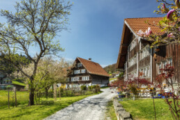 Appenzell, Appenzell Ausserrohden, Appenzeller Vorderland, Appenzellerhaus, Bauerhaus, Baum, Bäume, Frühling, Haus, Ortsbild, Ostschweiz, Schweiz, Sonnenschein, Spring, Streusiedlung, Suisse, Switzerland, Tree, Trees, Verkehr, Wald, Walzenhausen, Wanderweg, Weg, Weiler