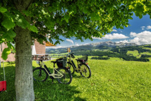 Alpen, Alps, Appenzell, Appenzell Ausserrohden, Ostschweiz, Schweiz, Schwellbrunn, Sommer, Suisse, Switzerland, summer