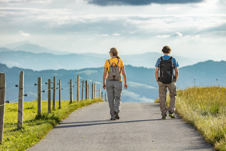 Abend, Alp, Alpen, Alps, Appenzell, Aussicht, Berg, Schweiz, Suisse, Switzerland, Urnäsch