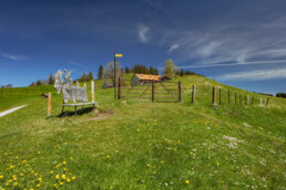 Appenzell, Appenzell Ausserrohden, Aussichtsbank, Bank, Frühling, Gais, Ostschweiz, Spring, Suisse, Switzerland, Verkehr, Wanderweg, Weg