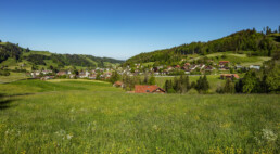 Appenzell, Appenzell Ausserrohden, Bühler, Dorf, Frühling, Ostschweiz, Schweiz, Spring, Suisse, Switzerland