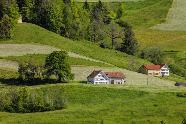 Appenzell, Appenzell Ausserrohden, Bühler, Frühling, Ostschweiz, Schweiz, Spring, Suisse, Switzerland