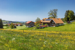 Appenzell Ausserrohden, Appenzeller Vorderland, Blumenwiese, Frühling, Ostschweiz, Rehetobel, Schweiz, Spring, Suisse, Switzerland, Wiese