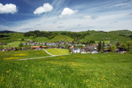 Dorf, Frühling, Ostschweiz, Schweiz, Schönengrund, Spring, Suisse, Switzerland