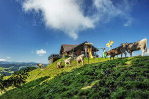Appenzell, Appenzell Ausserrohden, Schweiz, Schönengrund, Suisse, Switzerland