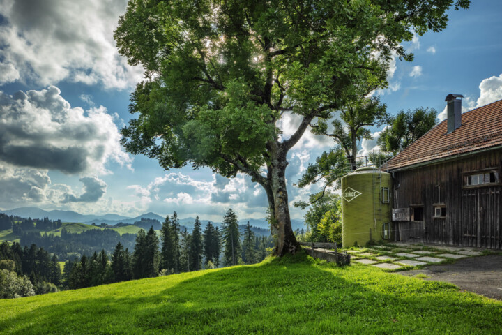 Appenzell, Appenzell Ausserrohden, Baum, Bäume, Clouds, Ostschweiz, Schweiz, Suisse, Switzerland, Tree, Trees, Wald, Wolken