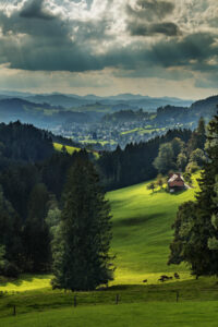 Appenzell, Appenzell Ausserrohden, Aussicht, Baum, Bäume, Clouds, Dorf, Ostschweiz, Schweiz, Suisse, Switzerland, Tree, Trees, Wald, Wolken