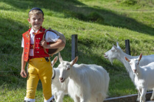 Alpabfahrt, Appenzell, Appenzell Ausserrohden, Brauchtum, Kultur, Ostschweiz, Schweiz, Schwägalp, Sennen, Suisse, Switzerland, Urnäsch, tradition, Öberefahre