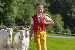 Alpabfahrt, Appenzell, Appenzell Ausserrohden, Brauchtum, Kultur, Ostschweiz, Schweiz, Schwägalp, Sennen, Suisse, Switzerland, Urnäsch, tradition, Öberefahre