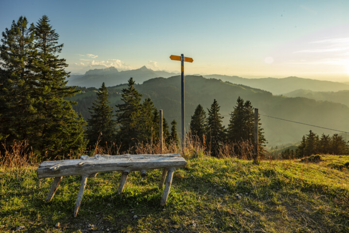 Appenzell, Appenzell Ausserrohden, Aussicht, Aussichtsbank, Bank, Baum, Bäume, Ostschweiz, Schweiz, Suisse, Switzerland, Tourismus, Tree, Trees, Urnaesch, Verkehr, Wald, Wanderweg, Weg