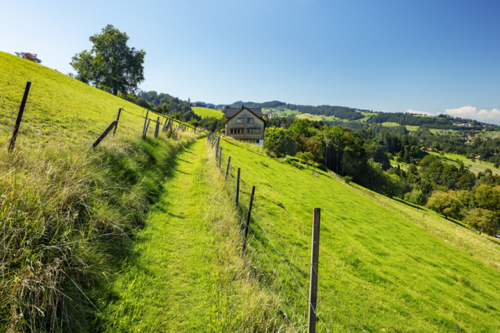 Appenzell, Appenzell Ausserrohden, Aussicht, Baum, Bäume, Ostschweiz, Schweiz, Suisse, Switzerland, Tree, Trees, Verkehr, Wald, Wanderweg, Weg, Wolfhalden