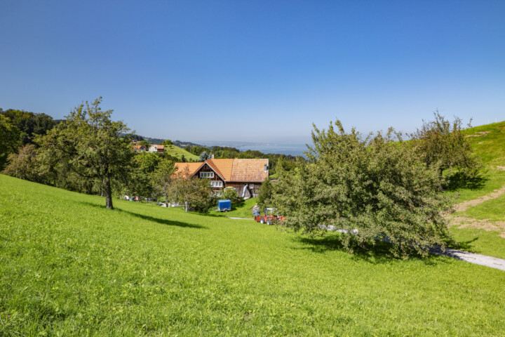 Appenzell, Appenzell Ausserrohden, Appenzeller Vorderland, Appenzellerhaus, Bauerhaus, Bodensee, Haus, Ostschweiz, Schweiz, Sommer, Streusiedlung, Suisse, Switzerland, Wiese, Wolfhalden, summer