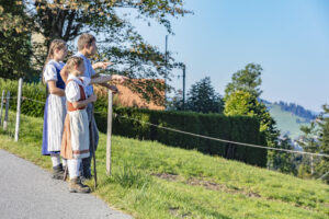 Appenzell, Appenzell Ausserrohden, Appenzeller Vorderland, Autumn, Brauchtum, Fall, Herbst, Ostschweiz, Rehetobel, Schweiz, Sennen, Suisse, Switzerland, Tracht, Viehschau, Wald, Wald AR, tradition