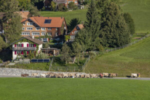 Appenzell, Appenzell Ausserrohden, Appenzeller Vorderland, Autumn, Brauchtum, Fall, Herbst, Ostschweiz, Rehetobel, Schweiz, Sennen, Suisse, Switzerland, Tracht, Viehschau, Wald, Wald AR, tradition