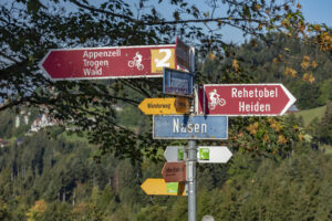 Appenzell, Appenzell Ausserrohden, Appenzeller Vorderland, Autumn, Brauchtum, Fall, Herbst, Ostschweiz, Rehetobel, Schweiz, Sennen, Suisse, Switzerland, Tracht, Viehschau, Wald, Wald AR, tradition