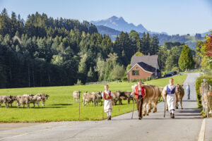 Appenzell, Appenzell Ausserrohden, Appenzeller Vorderland, Autumn, Brauchtum, Fall, Herbst, Ostschweiz, Rehetobel, Schweiz, Sennen, Suisse, Switzerland, Tracht, Viehschau, Wald, Wald AR, tradition