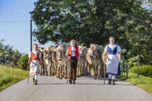 Appenzell, Appenzell Ausserrohden, Appenzeller Vorderland, Autumn, Brauchtum, Fall, Herbst, Ostschweiz, Rehetobel, Schweiz, Sennen, Suisse, Switzerland, Tracht, Viehschau, Wald, Wald AR, tradition
