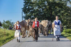 Appenzell, Appenzell Ausserrohden, Appenzeller Vorderland, Autumn, Brauchtum, Fall, Herbst, Ostschweiz, Rehetobel, Schweiz, Sennen, Suisse, Switzerland, Tracht, Viehschau, Wald, Wald AR, tradition