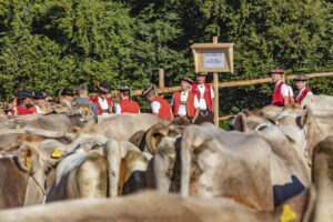Appenzell, Appenzell Ausserrohden, Appenzeller Vorderland, Autumn, Brauchtum, Fall, Herbst, Ostschweiz, Rehetobel, Schweiz, Sennen, Suisse, Switzerland, Tracht, Viehschau, Wald, Wald AR, tradition