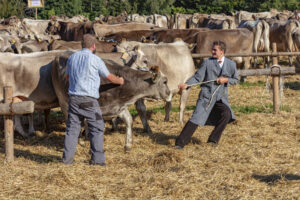 Appenzell, Appenzell Ausserrohden, Appenzeller Vorderland, Autumn, Brauchtum, Fall, Herbst, Ostschweiz, Rehetobel, Schweiz, Sennen, Suisse, Switzerland, Tracht, Viehschau, Wald, Wald AR, tradition