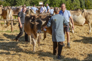 Appenzell, Appenzell Ausserrohden, Appenzeller Vorderland, Autumn, Brauchtum, Fall, Herbst, Ostschweiz, Rehetobel, Schweiz, Sennen, Suisse, Switzerland, Tracht, Viehschau, Wald, Wald AR, tradition