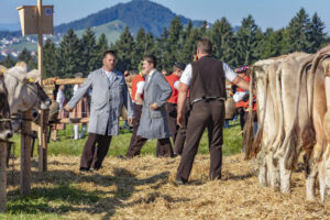 Appenzell, Appenzell Ausserrohden, Appenzeller Vorderland, Autumn, Brauchtum, Fall, Herbst, Ostschweiz, Rehetobel, Schweiz, Sennen, Suisse, Switzerland, Tracht, Viehschau, Wald, Wald AR, tradition