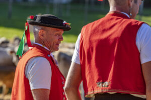 Appenzell, Appenzell Ausserrohden, Appenzeller Vorderland, Autumn, Brauchtum, Fall, Herbst, Ostschweiz, Rehetobel, Schweiz, Sennen, Suisse, Switzerland, Tracht, Viehschau, Wald, Wald AR, tradition