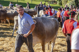 Appenzell, Appenzell Ausserrohden, Appenzeller Vorderland, Autumn, Brauchtum, Fall, Herbst, Ostschweiz, Rehetobel, Schweiz, Sennen, Suisse, Switzerland, Tracht, Viehschau, Wald, Wald AR, tradition