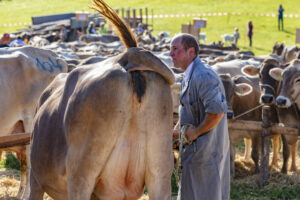 Appenzell, Appenzell Ausserrohden, Appenzeller Vorderland, Autumn, Brauchtum, Fall, Herbst, Ostschweiz, Rehetobel, Schweiz, Sennen, Suisse, Switzerland, Tracht, Viehschau, Wald, Wald AR, tradition