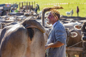 Appenzell, Appenzell Ausserrohden, Appenzeller Vorderland, Autumn, Brauchtum, Fall, Herbst, Ostschweiz, Rehetobel, Schweiz, Sennen, Suisse, Switzerland, Tracht, Viehschau, Wald, Wald AR, tradition
