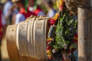 Appenzell, Appenzell Ausserrohden, Appenzeller Vorderland, Autumn, Brauchtum, Fall, Herbst, Ostschweiz, Rehetobel, Schweiz, Sennen, Suisse, Switzerland, Tracht, Viehschau, Wald, Wald AR, tradition