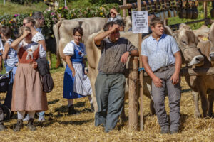 Appenzell, Appenzell Ausserrohden, Appenzeller Vorderland, Autumn, Brauchtum, Fall, Herbst, Ostschweiz, Rehetobel, Schweiz, Sennen, Suisse, Switzerland, Tracht, Viehschau, Wald, Wald AR, tradition