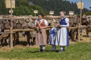 Appenzell, Appenzell Ausserrohden, Appenzeller Vorderland, Autumn, Brauchtum, Fall, Herbst, Ostschweiz, Rehetobel, Schweiz, Sennen, Suisse, Switzerland, Tracht, Viehschau, Wald, Wald AR, tradition