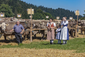 Appenzell, Appenzell Ausserrohden, Appenzeller Vorderland, Autumn, Brauchtum, Fall, Herbst, Ostschweiz, Rehetobel, Schweiz, Sennen, Suisse, Switzerland, Tracht, Viehschau, Wald, Wald AR, tradition