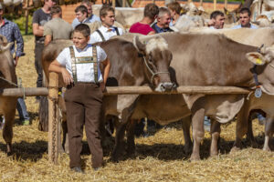 Appenzell, Appenzell Ausserrohden, Appenzeller Vorderland, Autumn, Brauchtum, Fall, Herbst, Ostschweiz, Rehetobel, Schweiz, Sennen, Suisse, Switzerland, Tracht, Viehschau, Wald, Wald AR, tradition